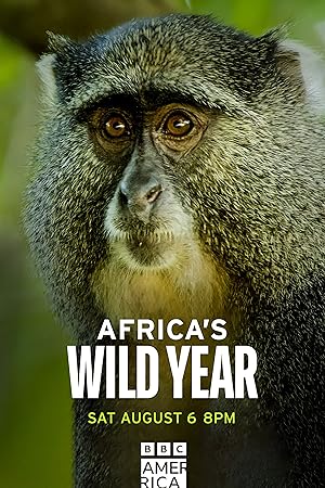 Africa's Wild Year (2021)