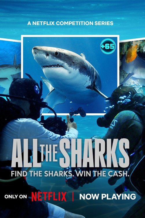 All the Sharks (2025)
