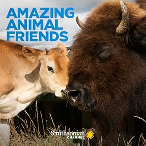 Amazing Animal Friends (2020)