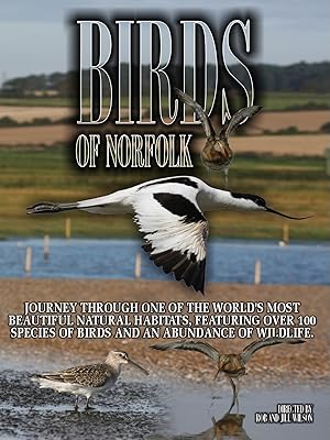 Birds of Norfolk (2010)