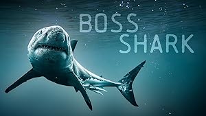 Boss Shark (2024)