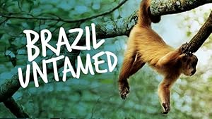 Brazil Untamed (2016)