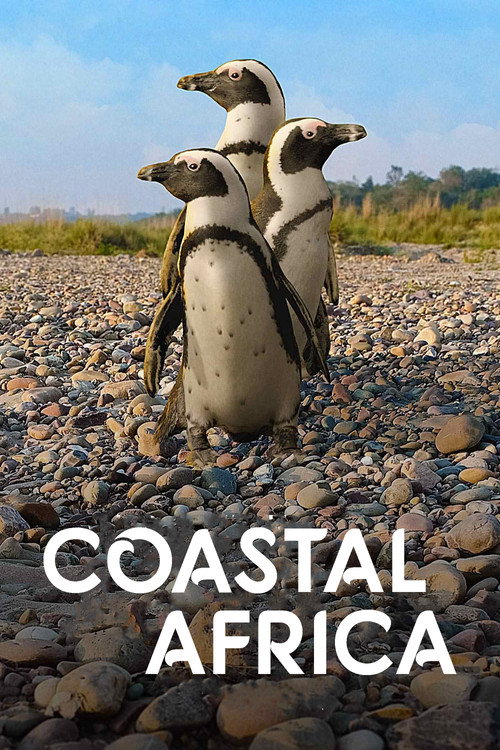 Coastal Africa (2015)