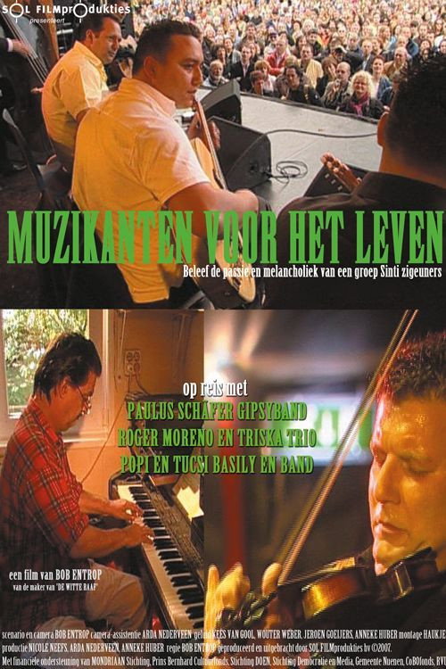 Gipsy life: Sinti and Roma 3 - Musicians for Life (2007)