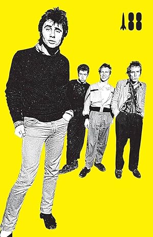 I Was a Teenage Sex Pistol