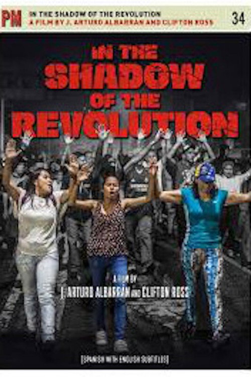 In The Shadow Of The Revolution (2017)