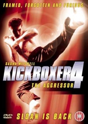 Kickboxer 4: The Aggressor