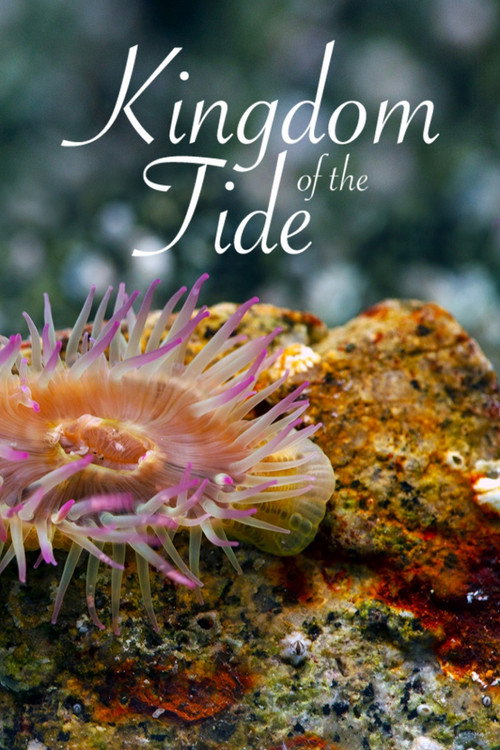 Kingdom of the Tide (2020)