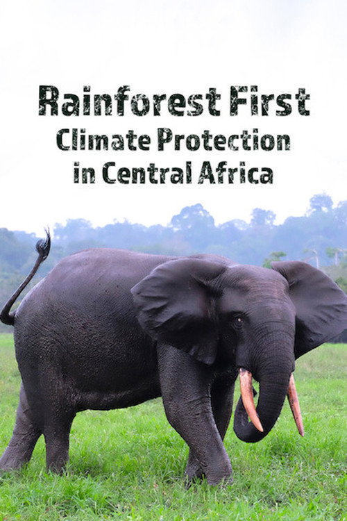 Rainforest First: Climate Protection in Central Africa (2021)
