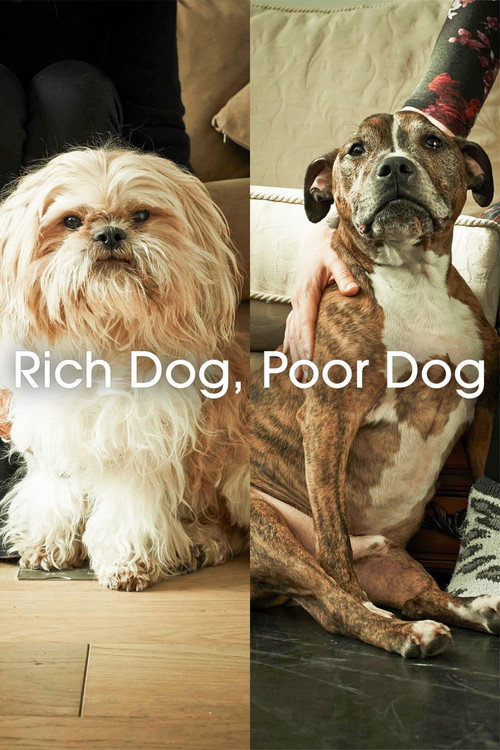 Rich Dog, Poor Dog (2017)