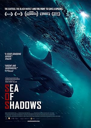 Sea of Shadows (2019)