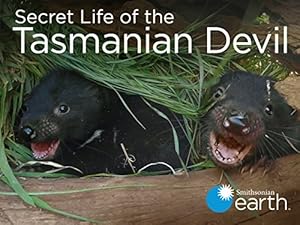 Secret Life Of The Tasmanian Devil (2016)