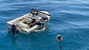 Shark Attack Investigation: The Paige Winter Story (2021)