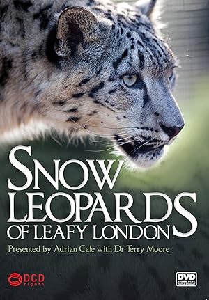 Snow Leopards of Leafy London
