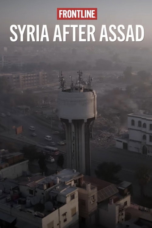 Syria After Assad (2025)