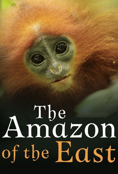 The Amazon of the East (2017)