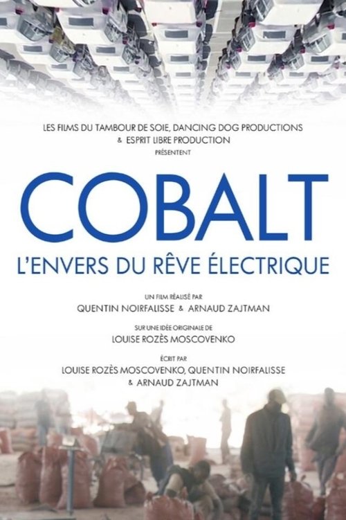 The Cobalt Rush: The Future of Going Green (2023)
