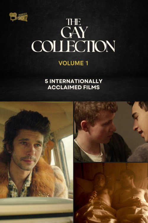 The Gay Collection | Volume I | Presented by Shortz! (2025)