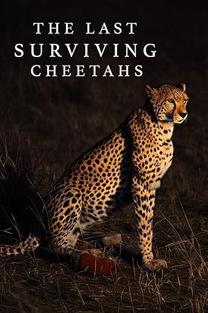 The Last Surviving Cheetahs (2024)
