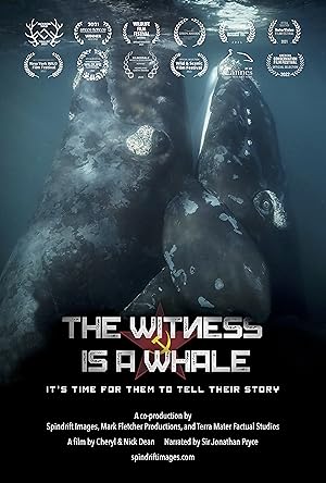 The Witness Is a Whale