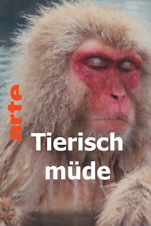 Tierisch müde - Das Rätsel Schlaf (2022)