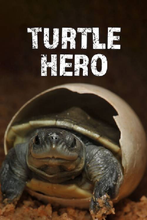 Turtle Hero: Ein Leben Fur Die Schildkroten (2016)