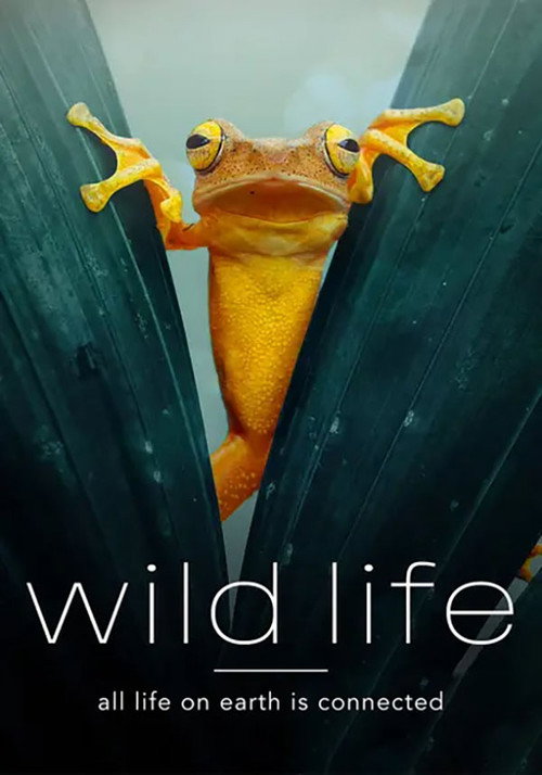 Wild Life (2013)