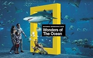 Wonders of the Ocean